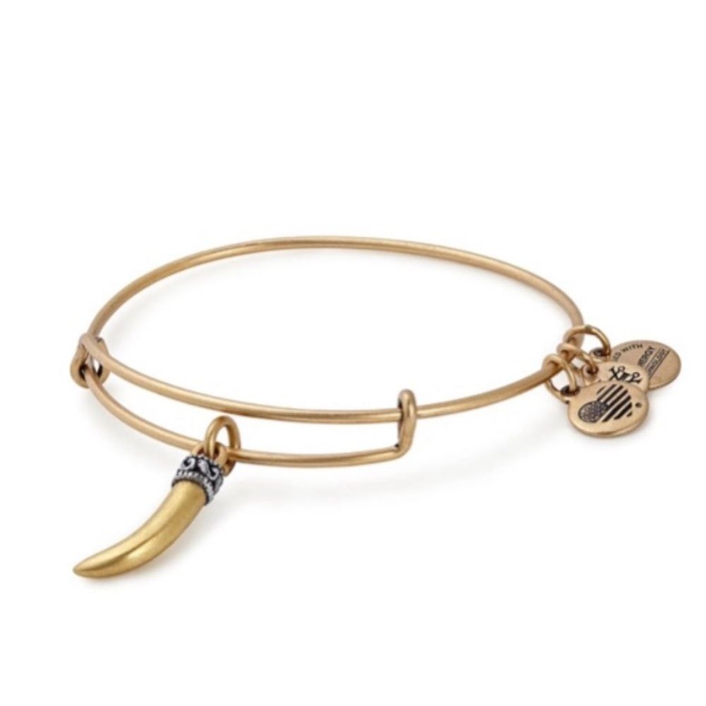 Alex & Ani Horn Bangle